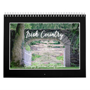 Kalender för Irish Land 2020 av Tom Minutolo