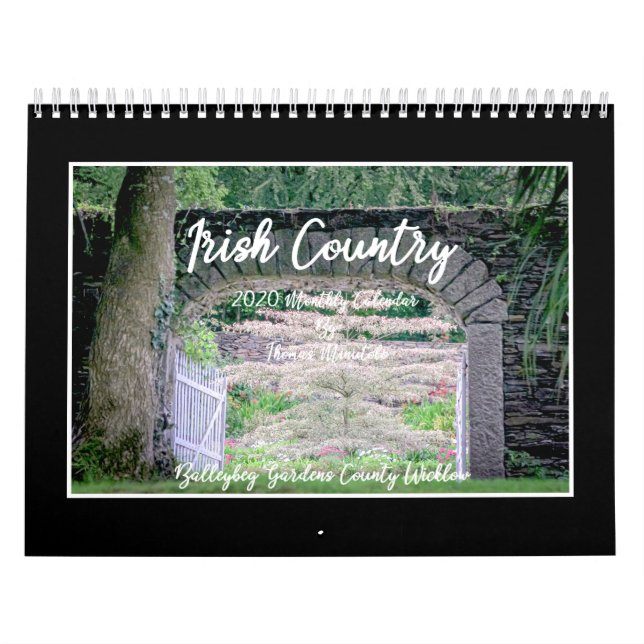 Kalender för Irish Land 2020 av Tom Minutolo (Omslag)