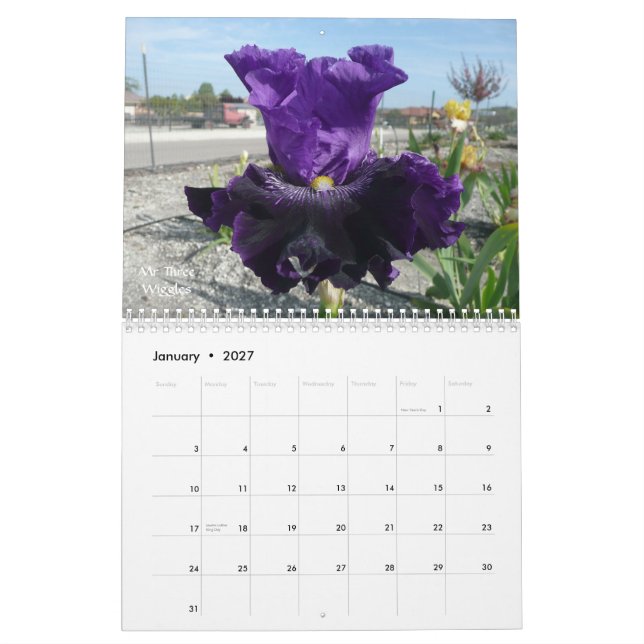 KALENDER FÖR IRISTRÄDGÅRD 2012 (Jan 2027)