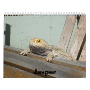 Kalender för Jasper 2009