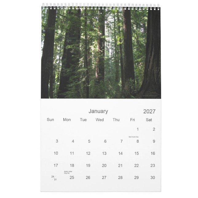 Kalender för Kalifornien redwoodträd 2012 (Jan 2027)