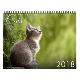 Kalender för katt 2018 och kattunge