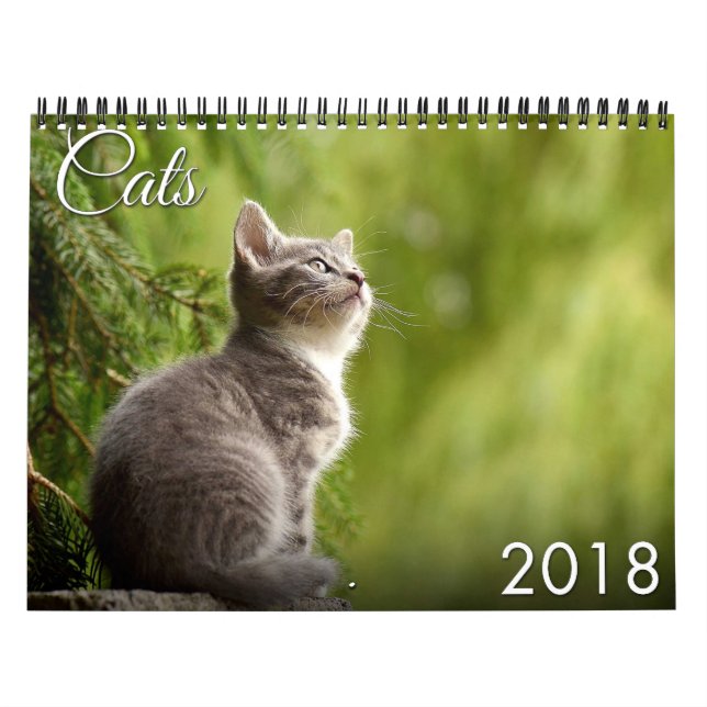 Kalender för katt 2018 och kattunge (Omslag)