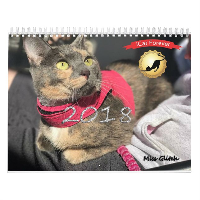 Kalender för Katt för Tävling (Omslag)