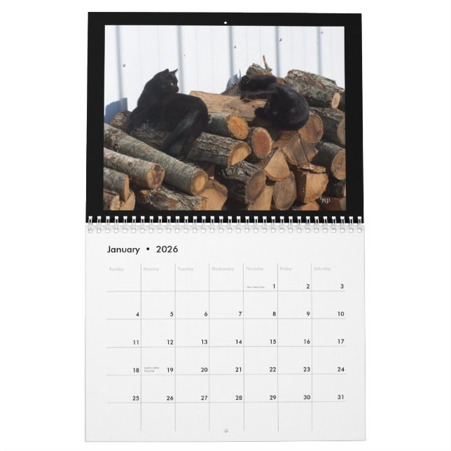 Kalender för kattälskare 2014--Edit-ÅR som behövt (Jan 2026)