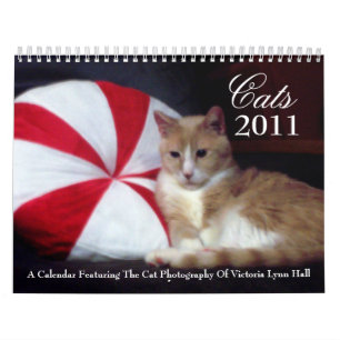 Kalender för katter 2011