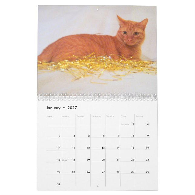 Kalender för katter 2011 (Jan 2027)