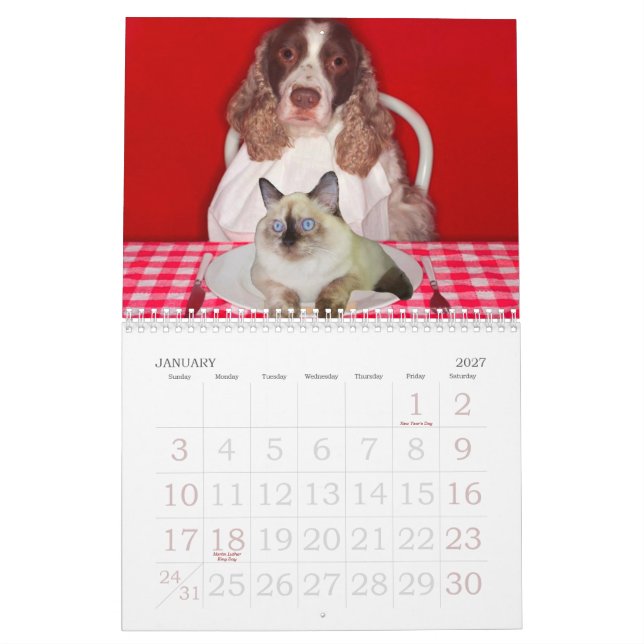 Kalender för kattGrindervägg (Jan 2027)