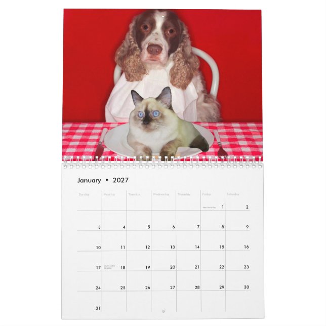 Kalender för kattGrindervägg (Jan 2027)