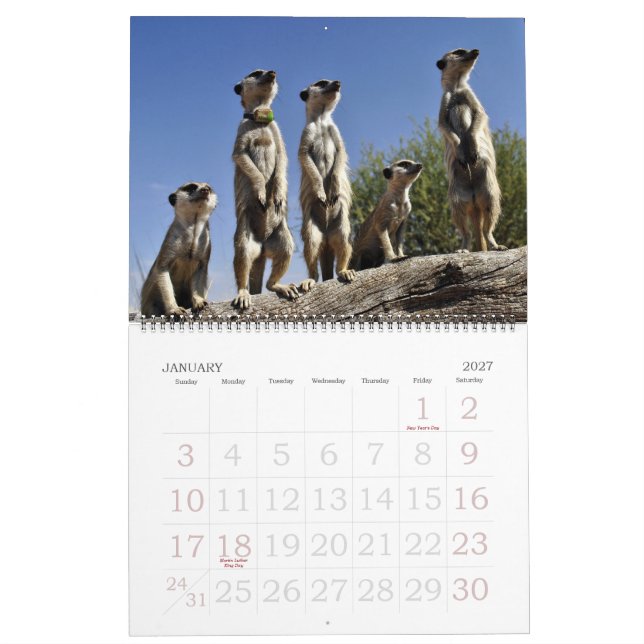 Kalender för KMP Meerkats 2013 (Jan 2027)