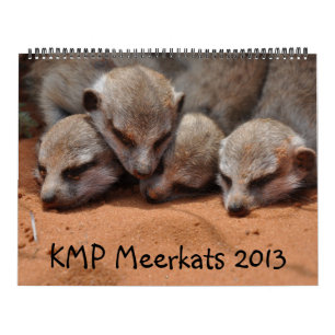 Kalender för KMP Meerkats 2013