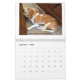 Kalender för kvarhållna objekt
