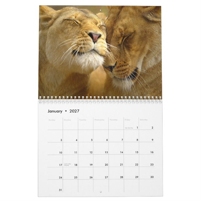 Kalender för Lejon-väggen (Jan 2027)
