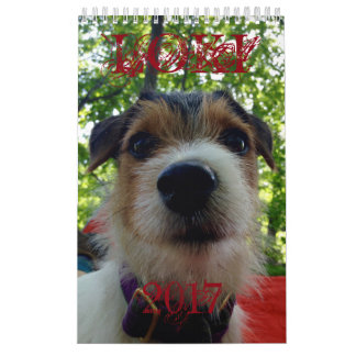 Kalender för Loki 2017