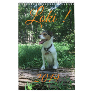 Kalender för Loki 2019