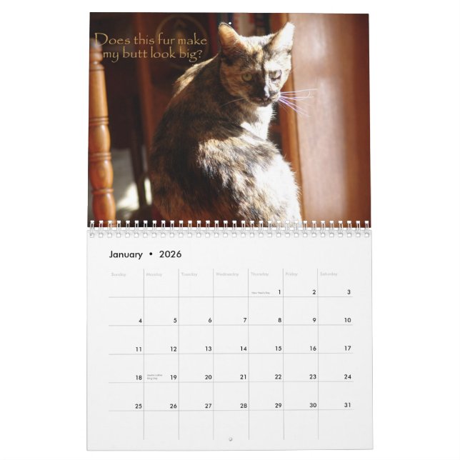 Kalender för LOL-katter 2008 (Jan 2026)