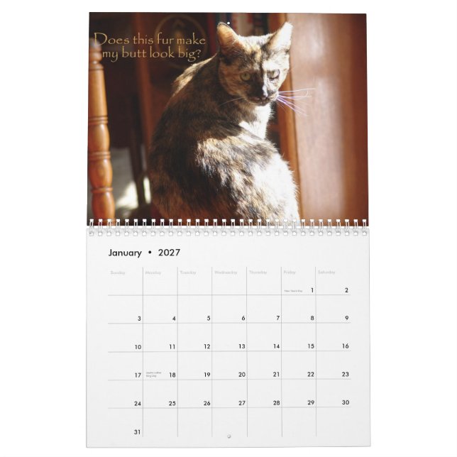 Kalender för LOL-katter 2008 (Jan 2027)