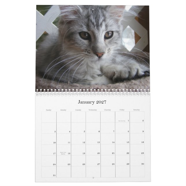 Kalender för Maine Coonkattunge (Jan 2027)
