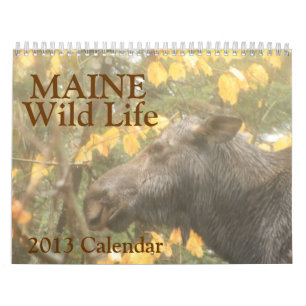Kalender för Maine vilda djur 2013