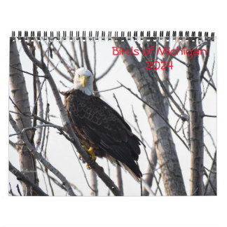 Kalender för Michigan Birds 2024