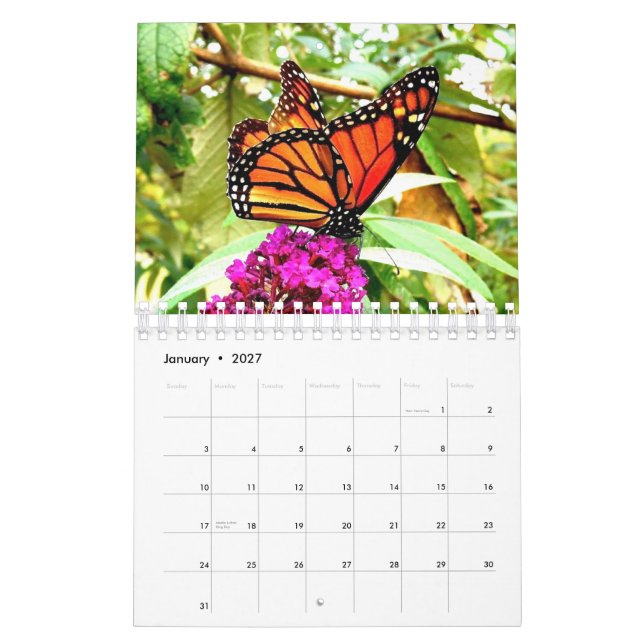 Kalender för monarkfjärilsvägg (Jan 2027)