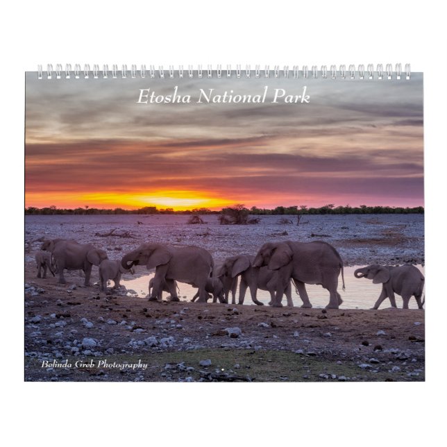Kalender för nationalparken Etosha 2020 (Omslag)
