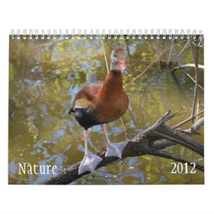 Kalender för natur 2012