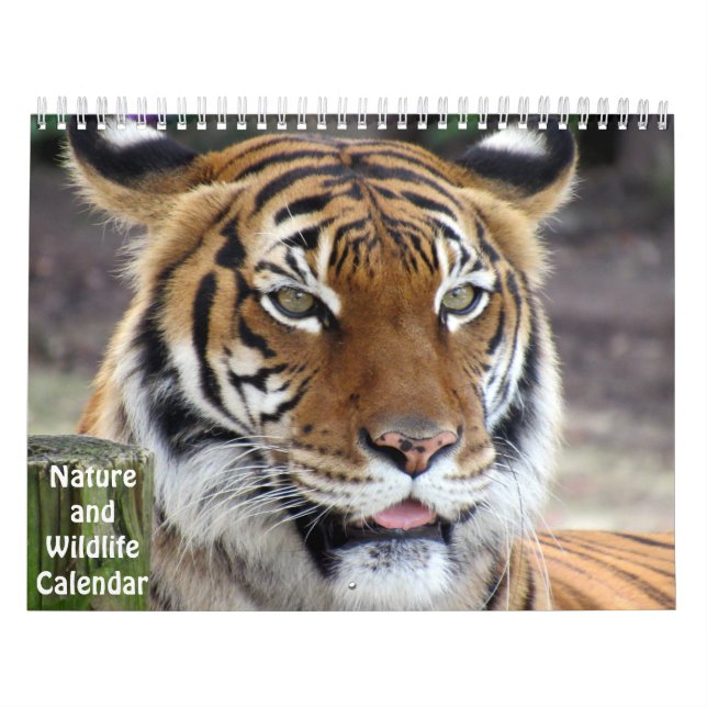Kalender för natur och djurliv (Omslag)