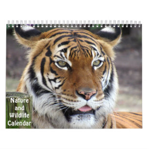 Kalender för natur och djurliv