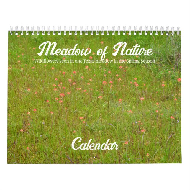Kalender för natursnäckor (Omslag)