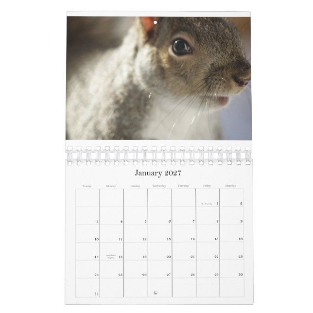 Kalender för ögaspionfoto (Jan 2027)