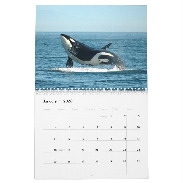 Kalender för Orcas~ 2012 (Jan 2026)