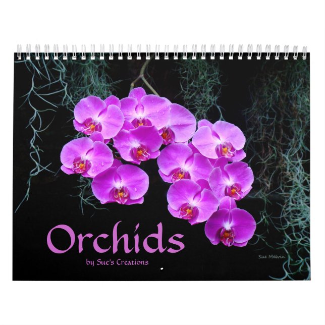 Kalender för Orchids (Omslag)