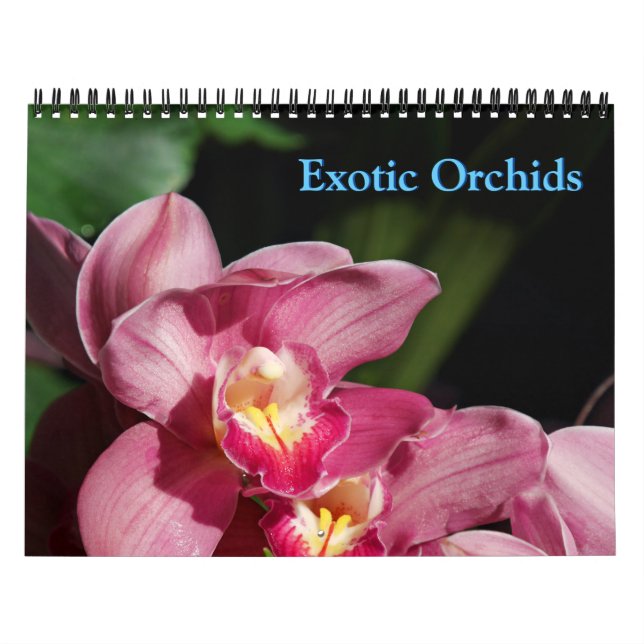 Kalender för Orchids (Omslag)