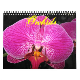 Kalender för orderfotografi
