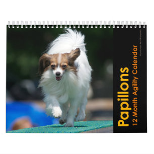 Kalender för Papillons Agilityvägg