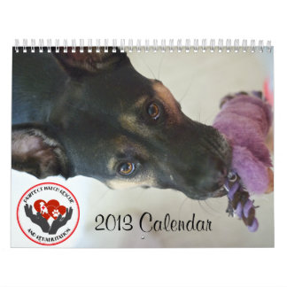 Kalender för Pawfect match 2013
