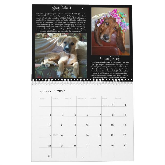 Kalender för Pawfect match 2013 (Jan 2027)