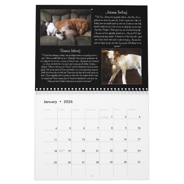 Kalender för Pawfect match 2015 (Jan 2026)