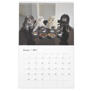 Kalender för PBJ-packe 2017