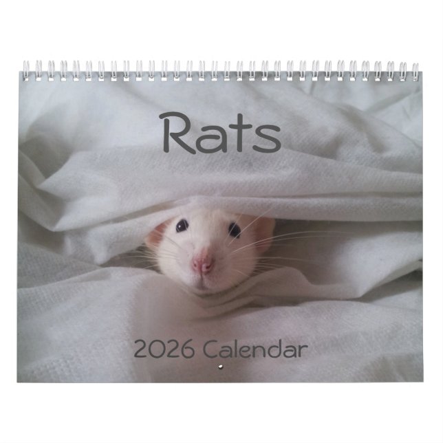 Kalender för Pet Råtta 2026 (Omslag)