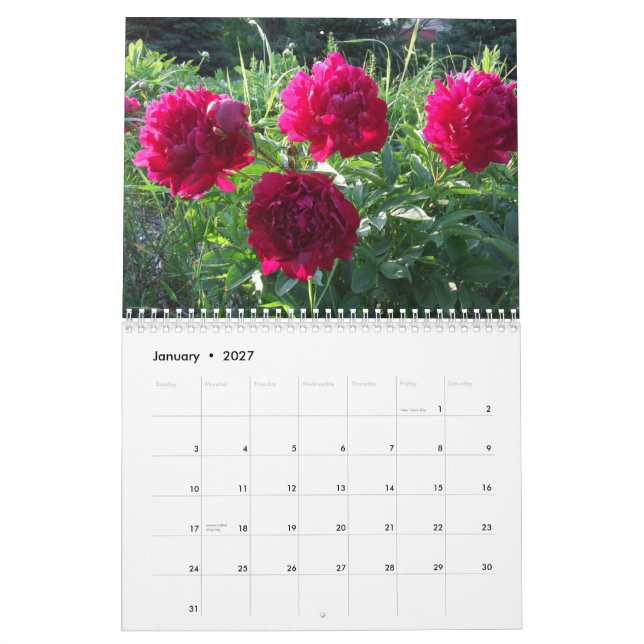 Kalender för pionblommablommigt 2012 (Jan 2027)