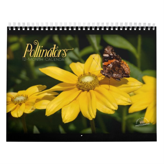 Kalender för pollinerare (Omslag)