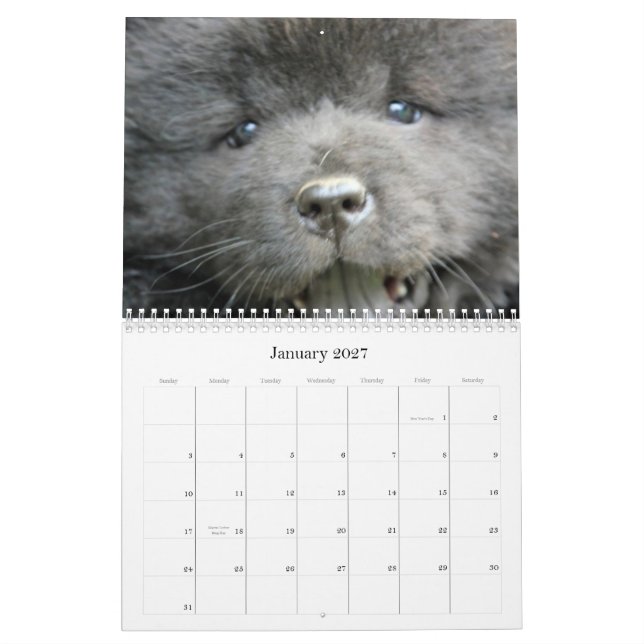 Kalender för rädding för ChowChow (Jan 2027)