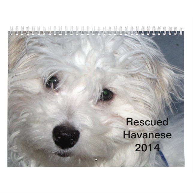 Kalender för räddingHavanese valper 2014 (Omslag)