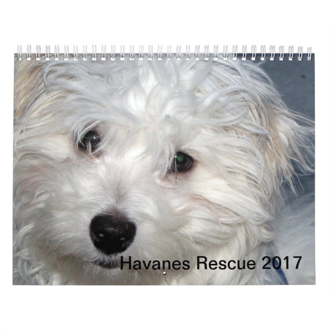 Kalender för räddingHavanese valper 2014 (Omslag)