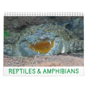 Kalender för reptiler och groddjur