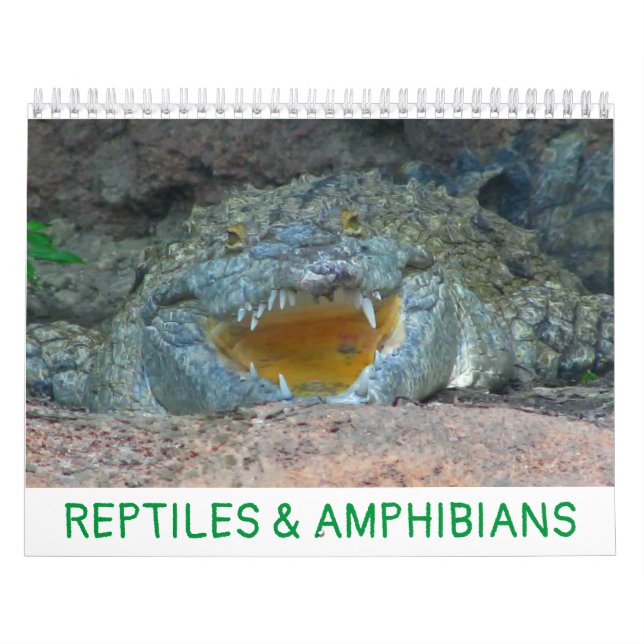 Kalender för reptiler och groddjur (Omslag)