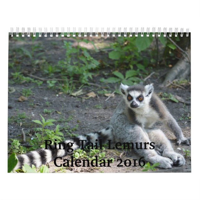 Kalender för ringsvanLemurs 2016 (Omslag)