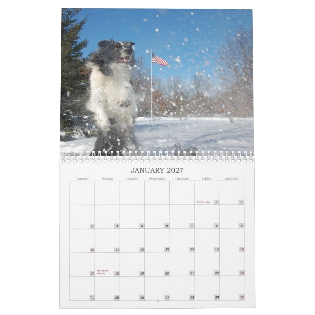 Kalender för RiverRun gränsCollies 2012 (Jan 2027)